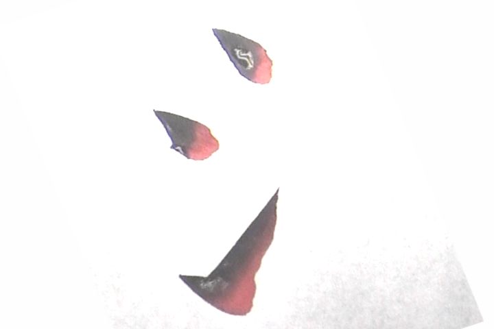 韓国 | 韓国 手帳